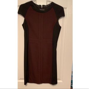 Zara Fitted Dress